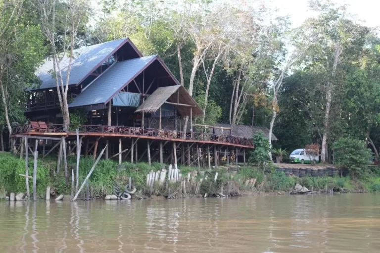 2D1N GOMANTONG CAVE & KINABATANGAN RIVER